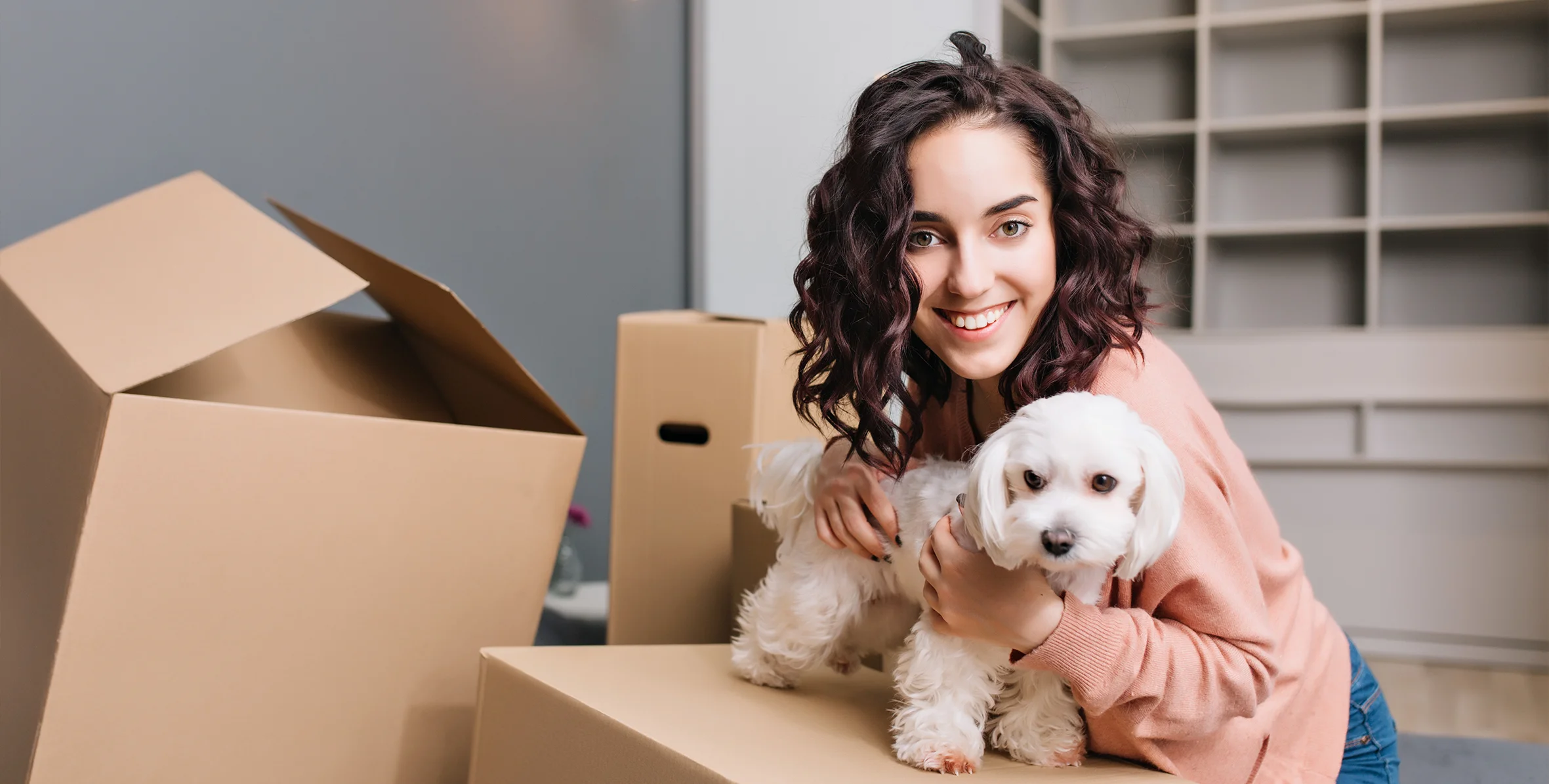 Moving With Pets in Summer - How to Keep Them Calm & Cool